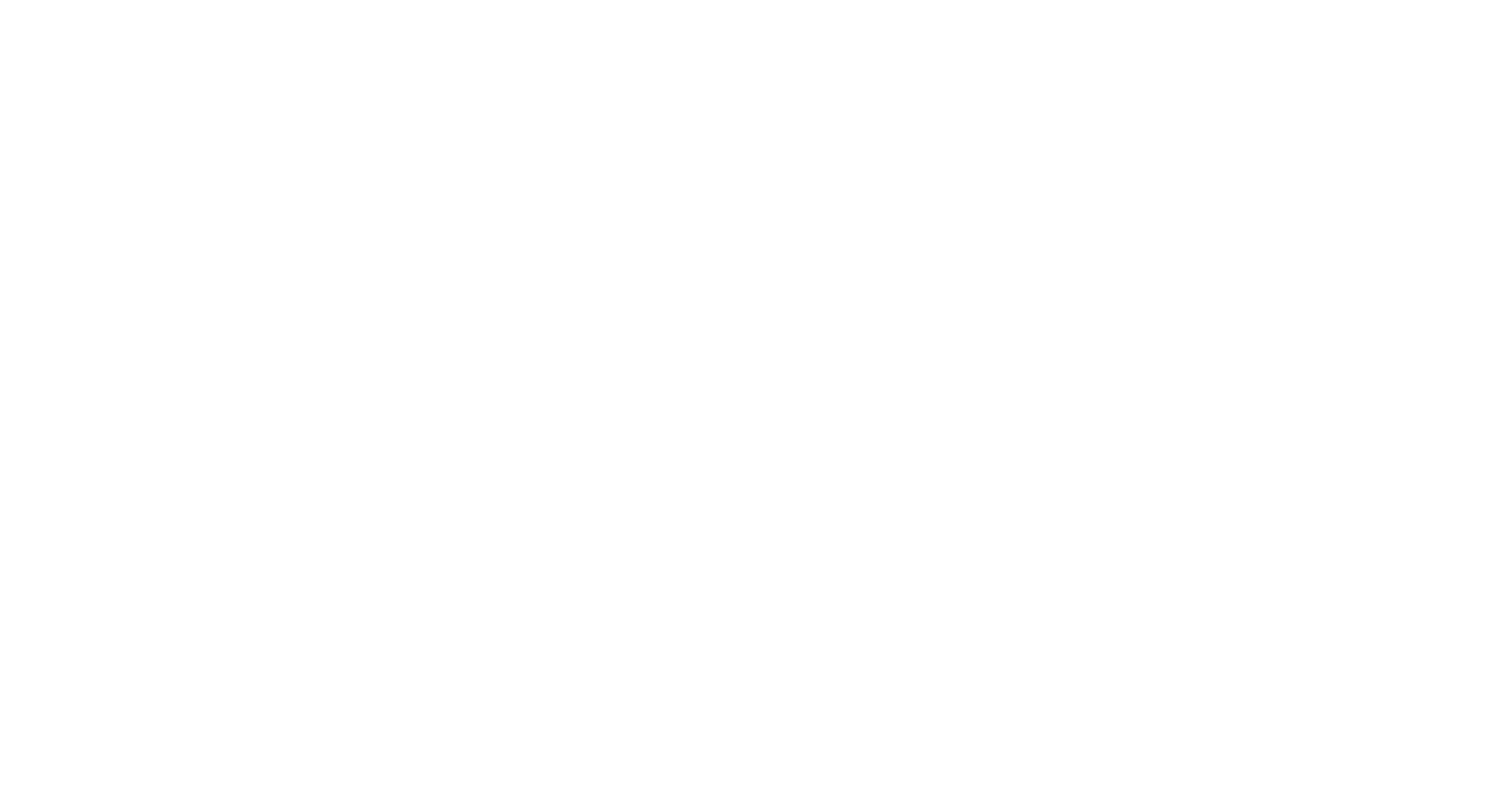 Rapid Network Logo